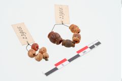 Foto von Perlenkette (NHMW-PRAE-023905)